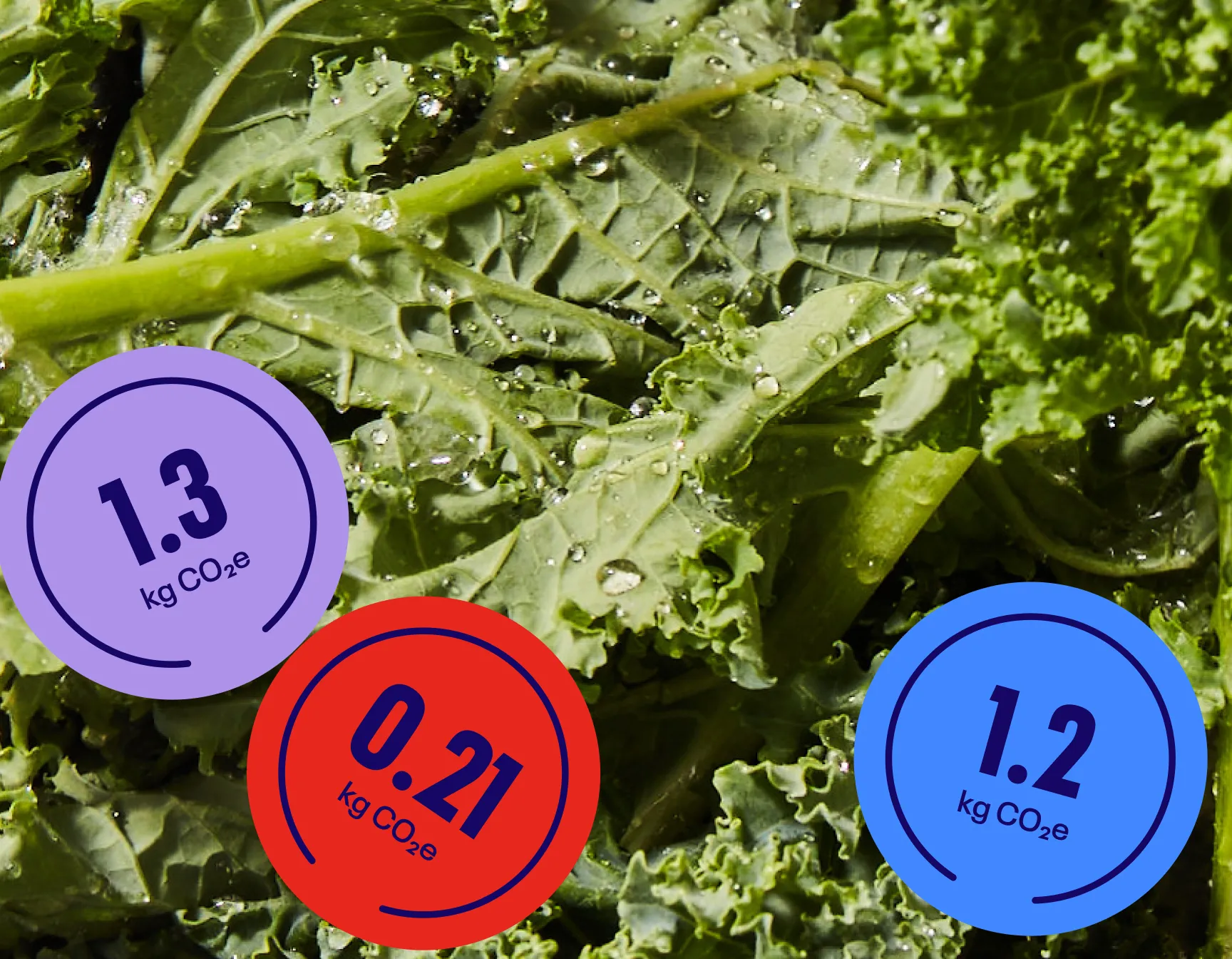 Detail photograph of lettuce with three carbon emissions stat badges